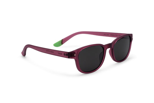 Morris – Plum - SUNGLASSES
