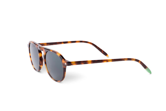 Zingaro – Tortoise - SUNGLASSES