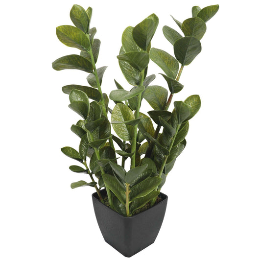 72cm Potted Multi Stem Faux Zanzibar-0