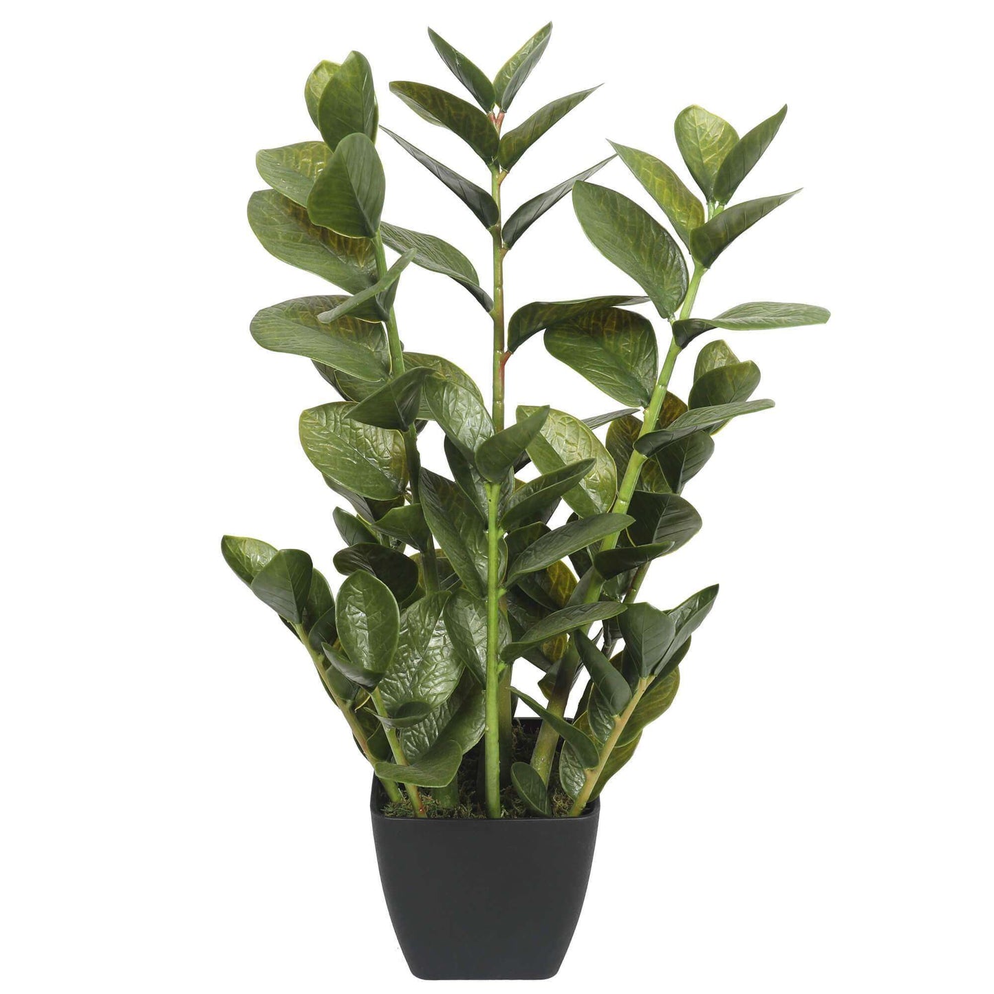 72cm Potted Multi Stem Faux Zanzibar-1