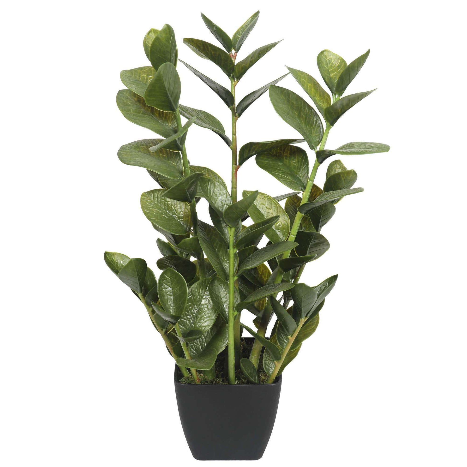 72cm Potted Multi Stem Faux Zanzibar-1
