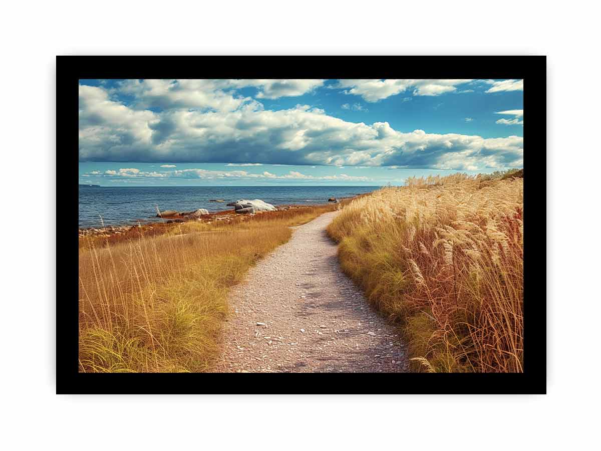 Beach Path Framed Print