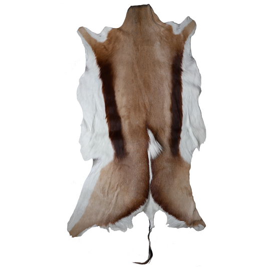 Springbok Hide Skin from South Africa-0