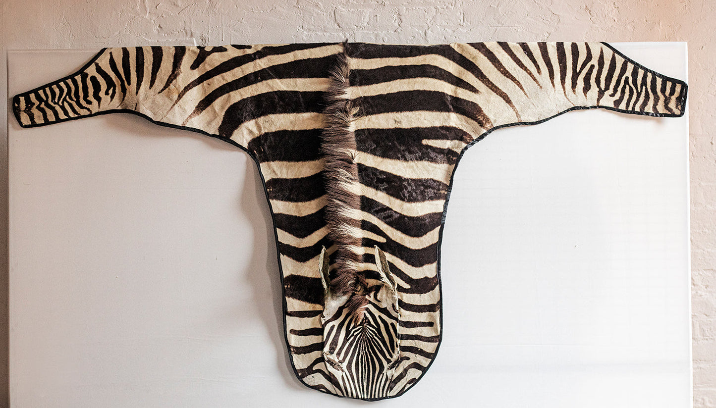 Zebra Hide Skin from Tanzania-0