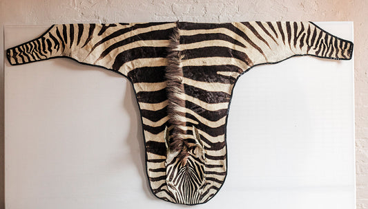 Zebra Hide Skin from Tanzania-0