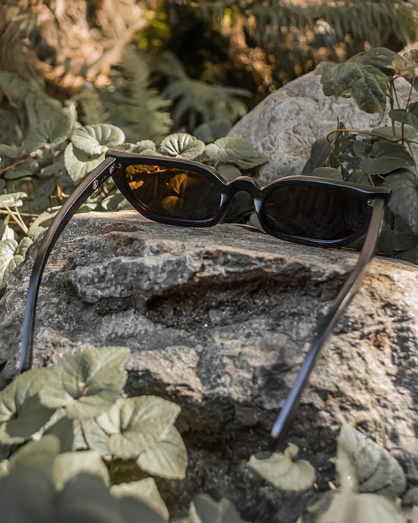 In Retrospect | Polarized Bamboo Sunglasses