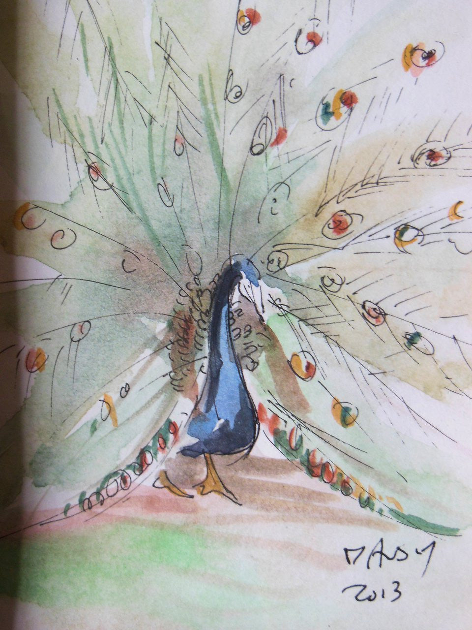 Watercolor Peacock from Zanzibar, Tanzania.  Framed.-1