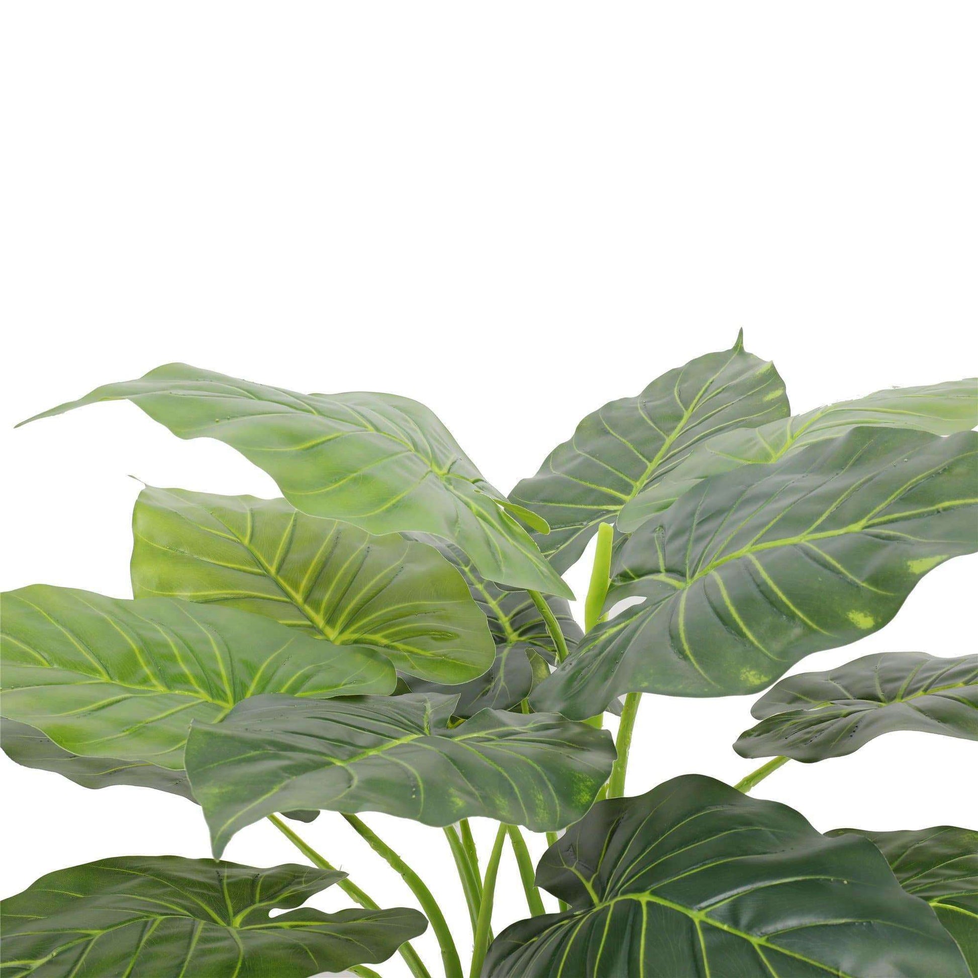 Artificial Potted Taro Plant / Elephant Ear 70cm-2