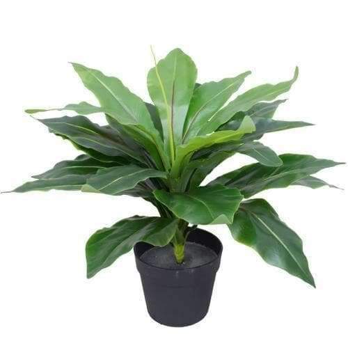 Artificial Potted Wide Leaf Birds Nest Fern 50cm-0