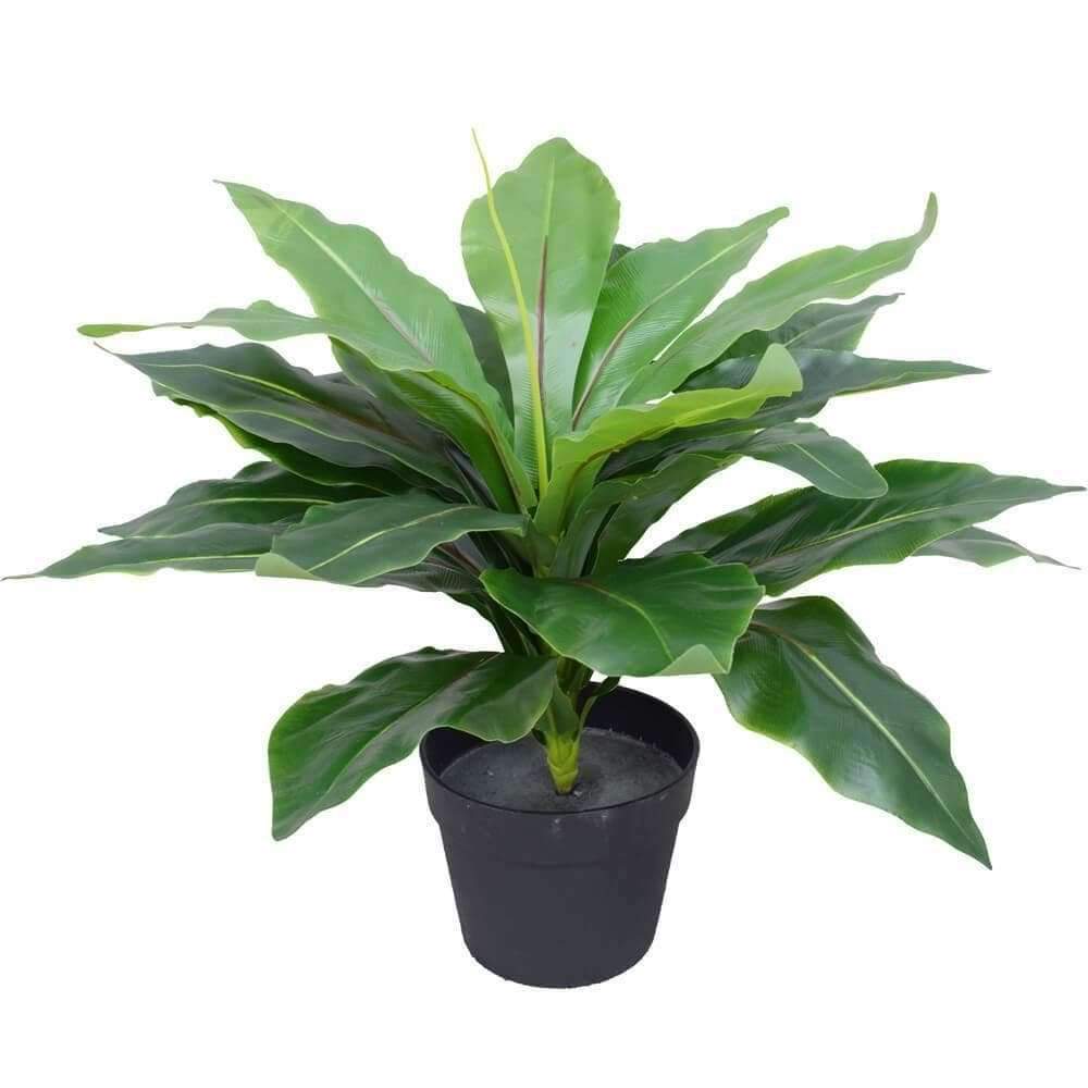 Artificial Potted Wide Leaf Birds Nest Fern 50cm-1
