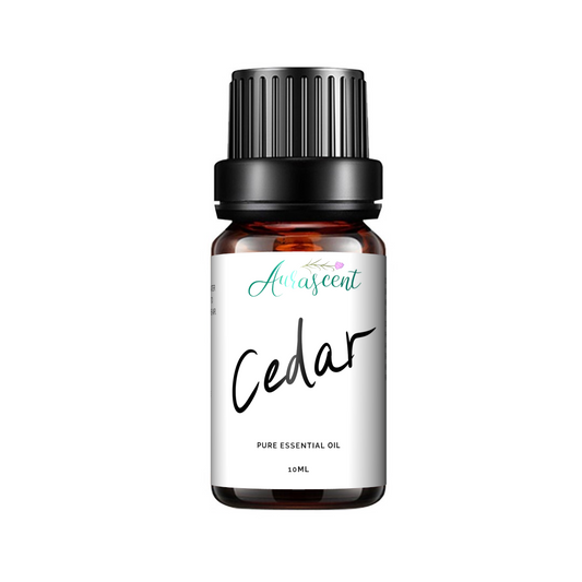 Cedar Essential Oil - 10ml-0