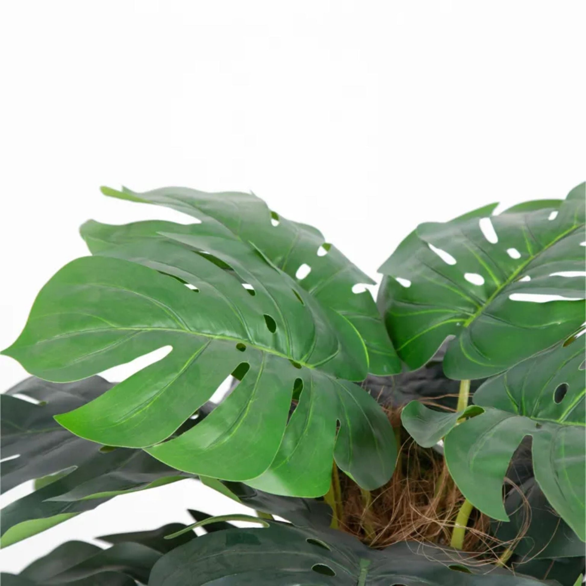 Premium Artificial Monstera Deliciosa Tree 100cm-4