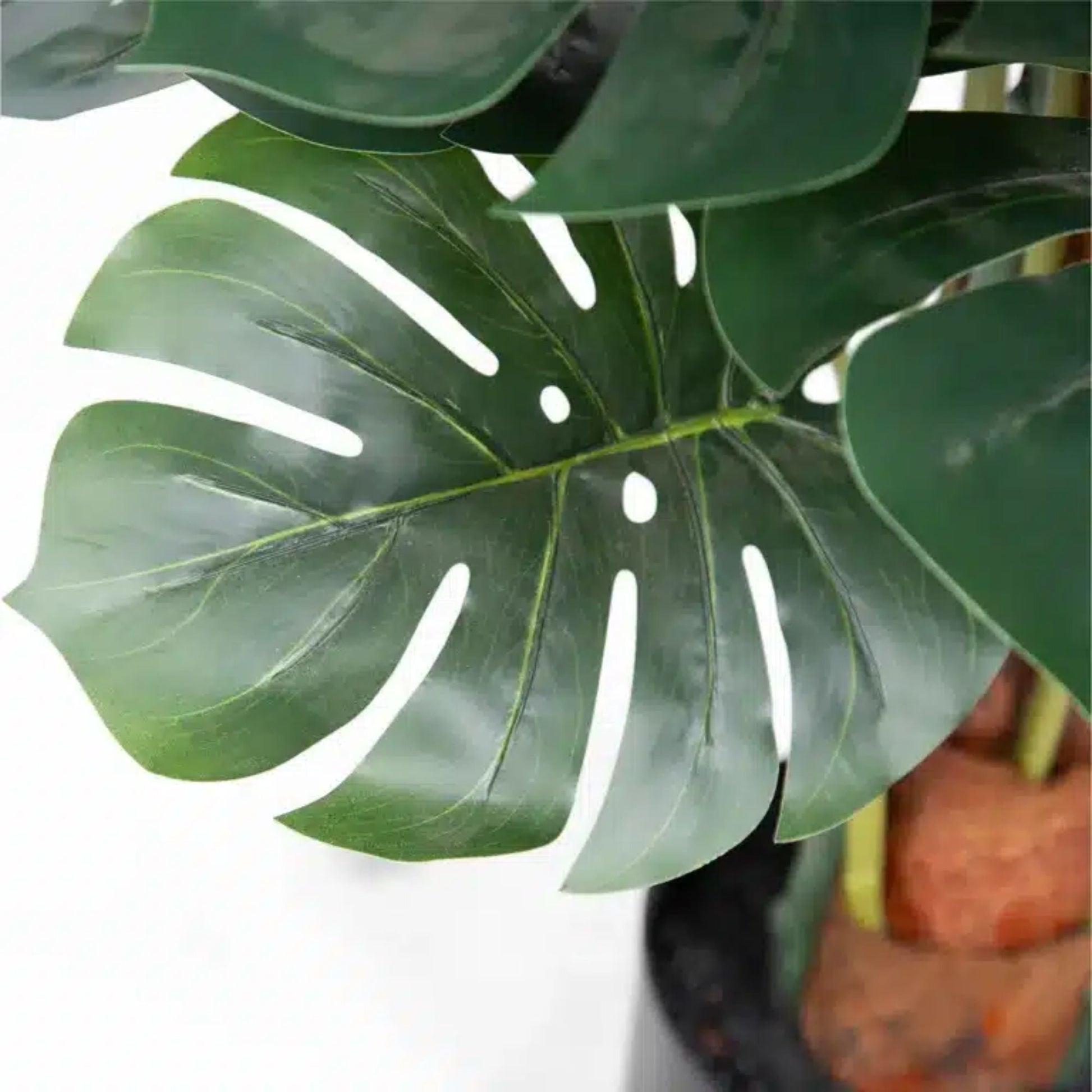 Premium Artificial Monstera Deliciosa Tree 100cm-3