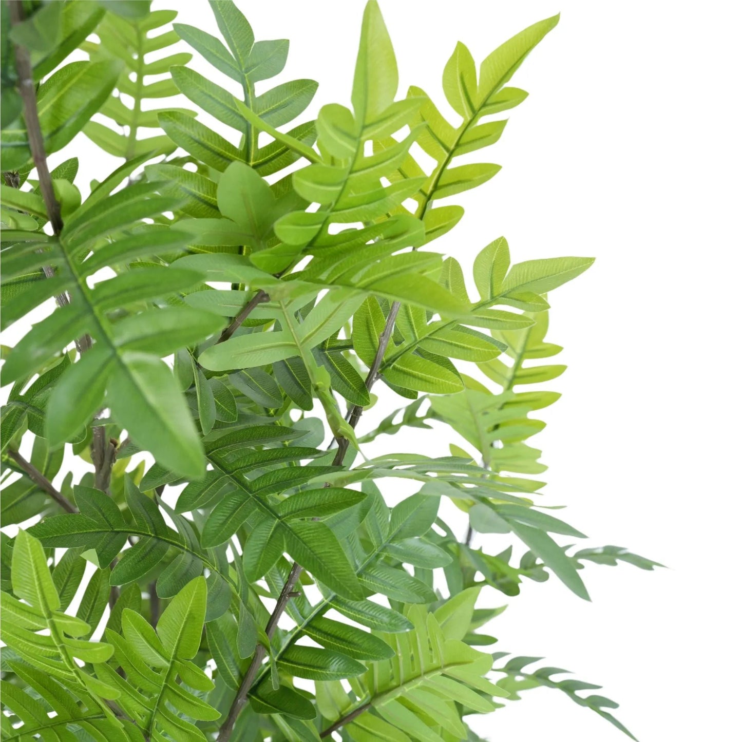 Premium Real Touch Artificial Bracken Palm Tree 180cm-2