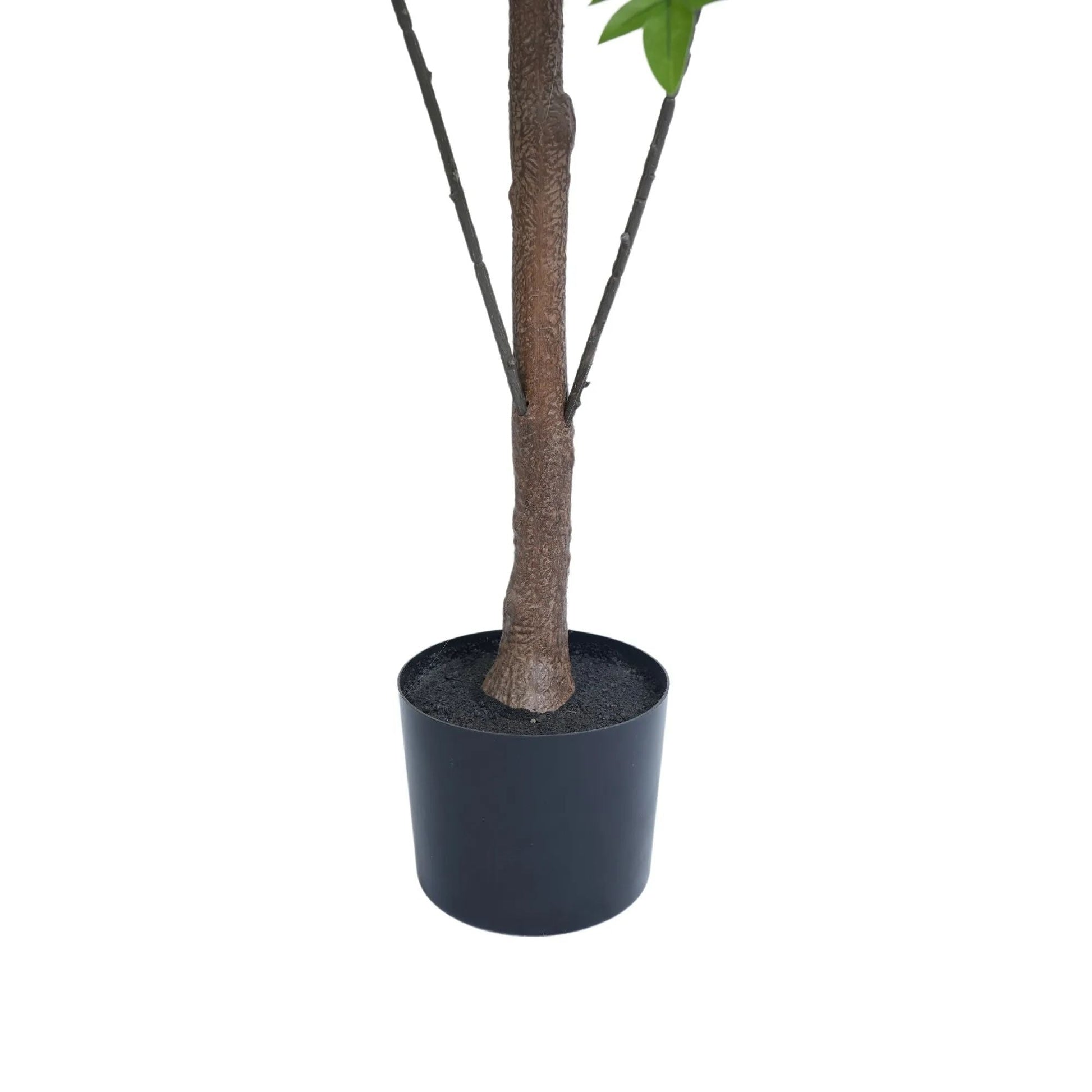 Premium Real Touch Artificial Bracken Palm Tree 180cm-4