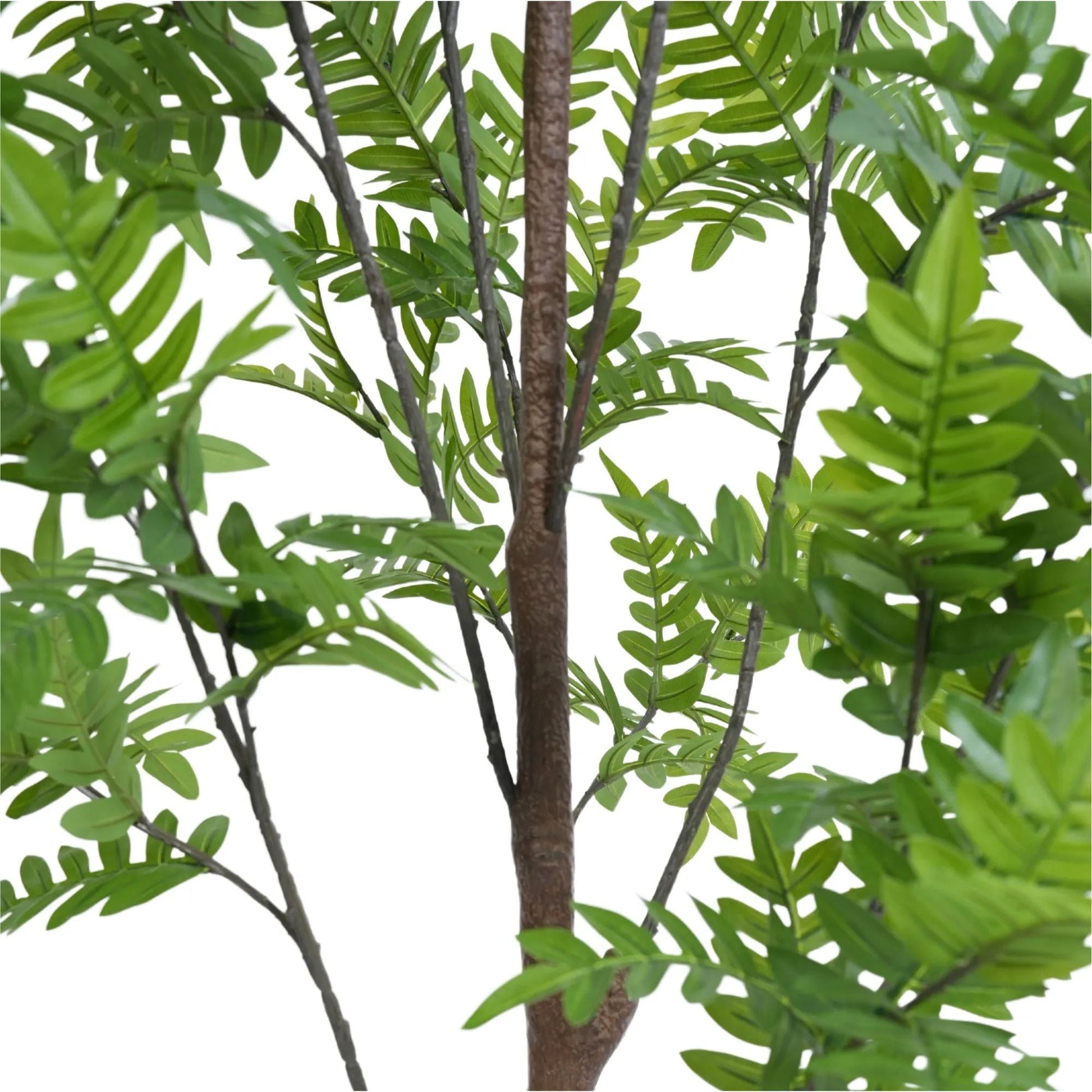 Premium Real Touch Artificial Bracken Palm Tree 180cm-3