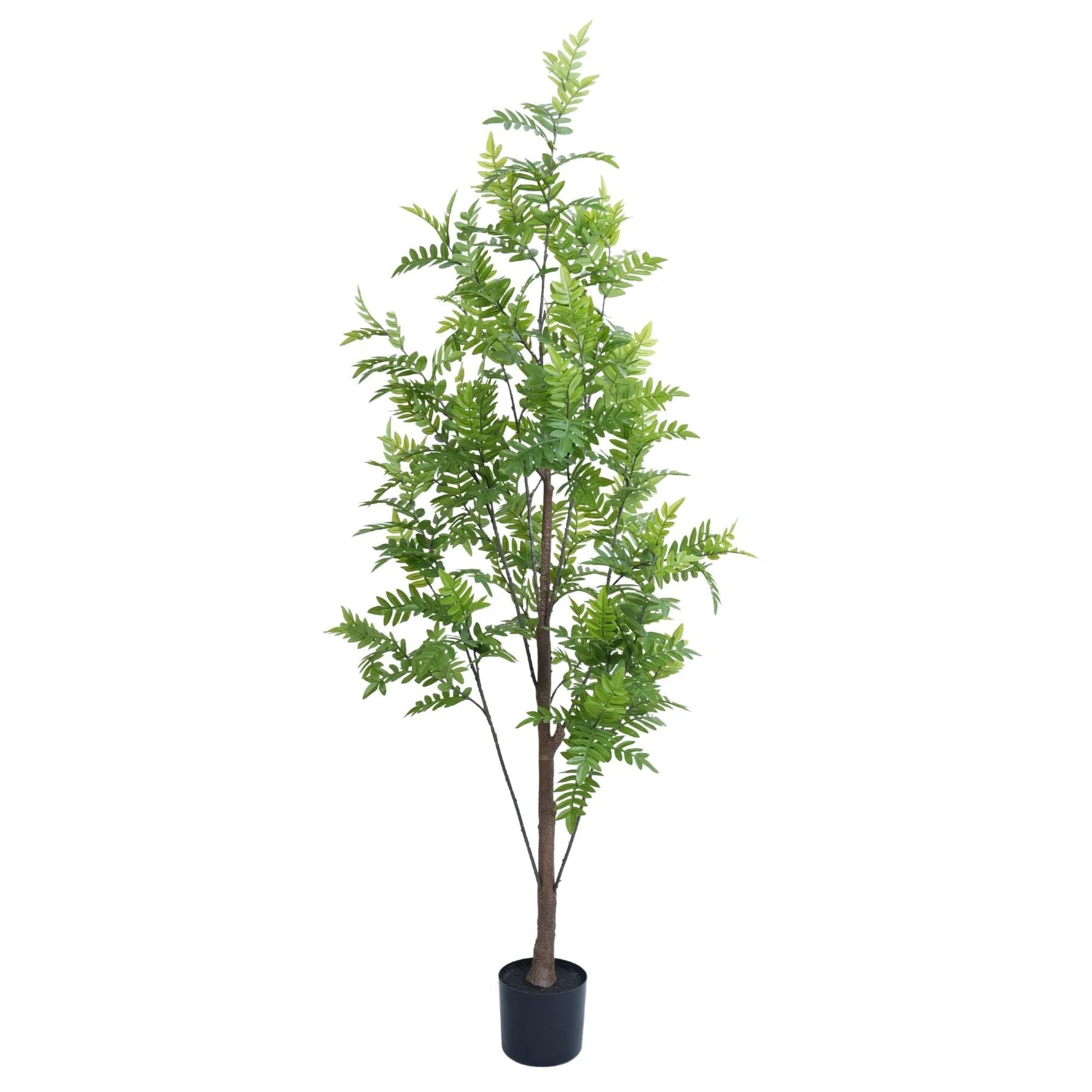 Premium Real Touch Artificial Bracken Palm Tree 180cm-1